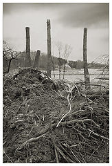 photo "Ghosts of the dead valley #2"