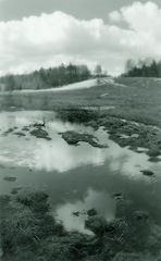 photo "***"