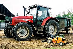 photo "Family - Farmyard(3)"