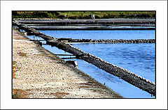 фото "Water Ponds"