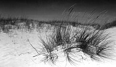 photo "DUNE"