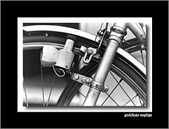фото "radial motion"
