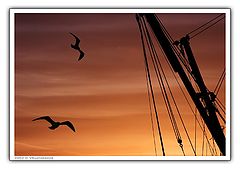 photo "Sunset in the Port - 4"