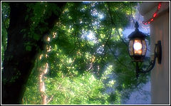 photo "give me your shadow and i`ll gave you my light..."