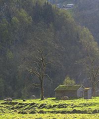 photo "***"