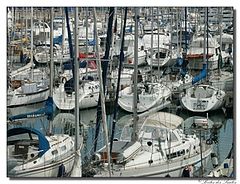 photo "The marina"