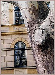 фото "Looking at the Palace Windows"