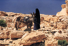 фото "The Shepherdess # 1"