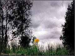 фото "Один..."