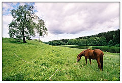 photo "Near river"