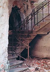 photo "Untitled photo"