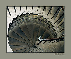 фото "Ladder"