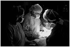 фото "The Birth of the Light"