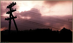 photo "Let It Be The Light!"