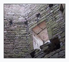 photo "Window"