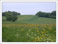 фото "Fields"