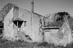 photo "The HOUSE"