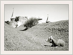 photo "Picture from Kamenets-Podolsk city"