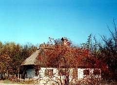 photo "Some of Ukrainian History"