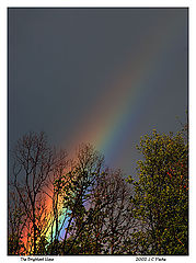 фото "The Brightest Hope"