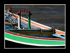 фото "United Colors"