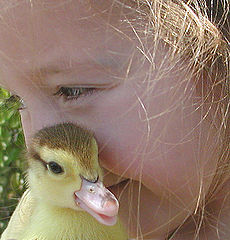 фото "We`ve Got A Secret...."