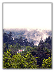 фото "Fog, on the moutain"