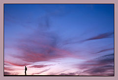 photo "Alone in the sky"
