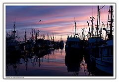 photo "Sunset in the Port - 5"