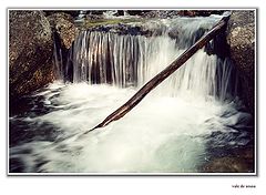 photo "Aqua #06"