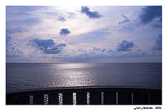 фото "Out of the view"