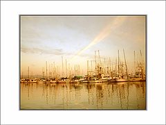 photo "A Study in Amber"