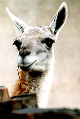 photo "hello!"