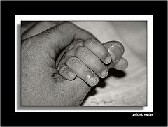 фото "like father and son"