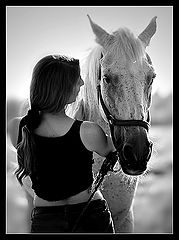 photo "No words"