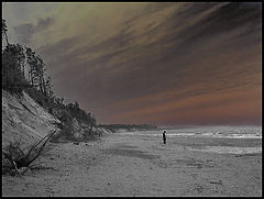 photo "The One...."