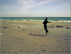 photo "Freedom!!!!!"
