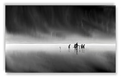 photo "Hallucinations #5"