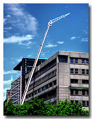 photo "Giraffe"