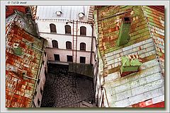 фото "С высоты птичьего полета"