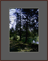фото "Like a Painting!"