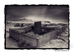 photo "Grave with a View"