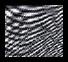photo "Dizziness..."