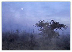 photo "Hallucinations..: " There on unknown tracks... ""