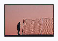 photo "Freedom?"