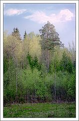 фото "Весенняя акварель"