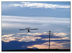 фото "Low flight"