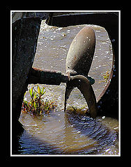 фото "Green Peace"