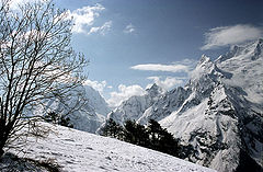 photo "White silence"