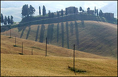 фото "Toscana 1a"